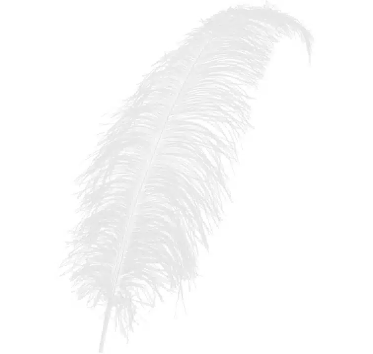 spadonis veer 50 cm piet wit